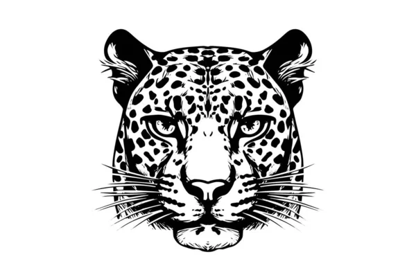 Zwart Wit Met Hand Getekend Inktschets Van Luipaard Hoofd Gezicht — Stockvector