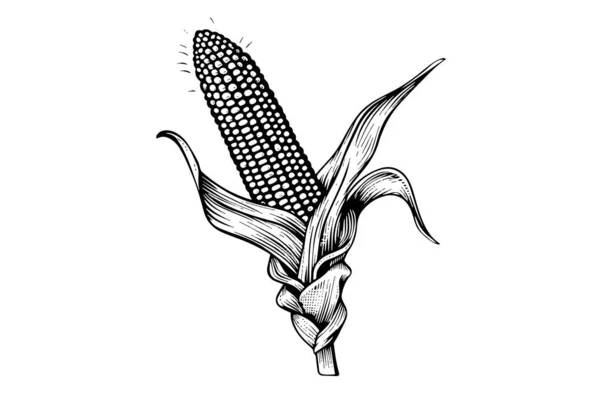 Corn Χέρι Σχέδιο Σκίτσο Vintage Χαρακτική Διάνυσμα Εικονογράφηση — Διανυσματικό Αρχείο