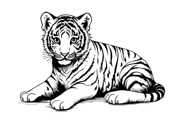 Ręcznie Rysowany Szkic Stylu Grawerowania Tygrysa Szczenię Wektor Atrament Ilustracja — Wektor stockowy