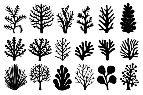 Set Disegnato Mano Coralli Silhouette Alghe Isolate Sfondo Bianco Icone — Vettoriale Stock