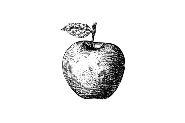 Apple Owoców Ręcznie Rysowane Grawerowanie Styl Wektor Ilustracje — Wektor stockowy