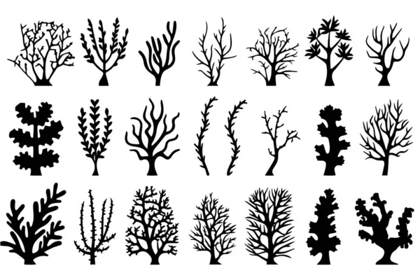 Conjunto Dibujado Mano Corales Silueta Algas Aisladas Sobre Fondo Blanco — Vector de stock