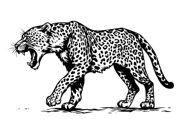 Boceto Tinta Dibujado Mano Blanco Negro Paseos Leopardo Ilustración Vectorial — Vector de stock