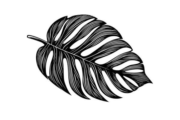 Экзотический Тропический Листовой Вектор Ботанические Листья Гравировкой — стоковый вектор