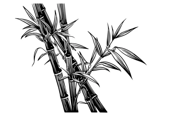 Handritad Bläckskiss Bambublad Och Grenar Vektorillustration — Stock vektor