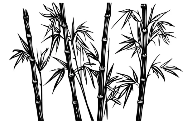 Croquis Encre Dessinée Main Feuilles Branches Bambou Illustration Vectorielle — Image vectorielle