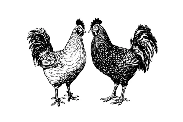 ヴィンテージ彫刻スタイルのベクターイラストで描かれた鶏や鶏 — ストックベクタ