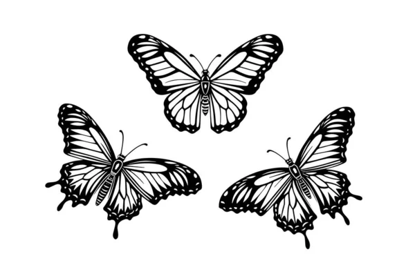 Juego Bocetos Mariposa Grabado Dibujado Mano Estilo Vector Ilustración — Archivo Imágenes Vectoriales