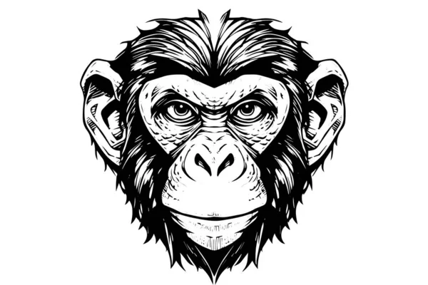 Opičí Hlava Nebo Tvář Ručně Kreslené Vektorové Ilustrace Rytém Stylu — Stockový vektor