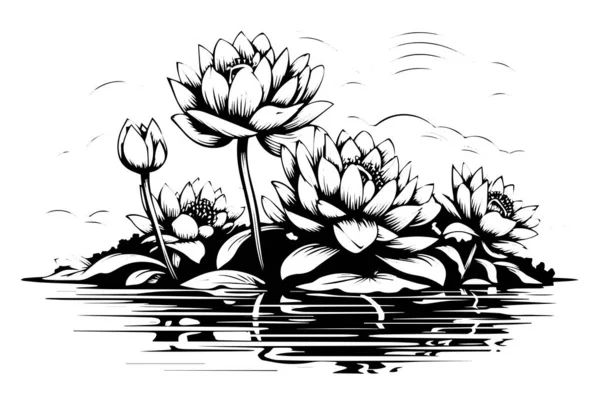 Lotus Lilja Vatten Blomma Vintage Träsnitt Graverad Etsning Stil Vektor — Stock vektor