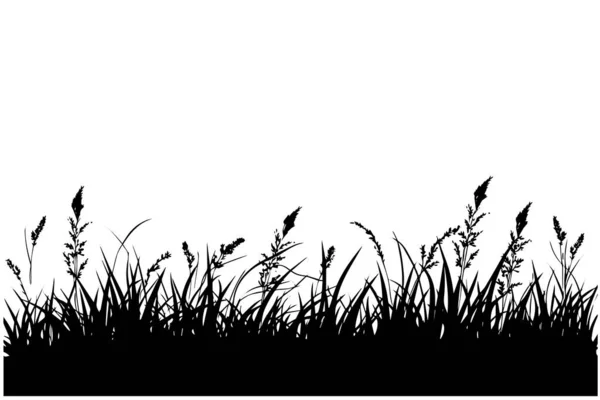 摘要草本植物和花卉的黑色轮廓背景摘要 矢量说明 — 图库矢量图片