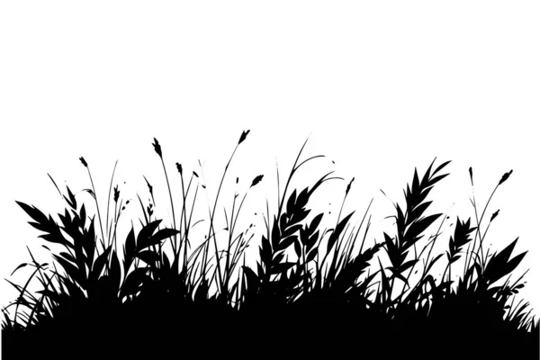 Fond Abstrait Avec Des Silhouettes Noires Herbes Sauvages Prairie Fleurs — Image vectorielle
