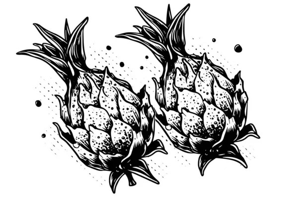 Pitaya Dessin Encre Dessinée Main Aux Fruits Dragon Gravure Illustration — Image vectorielle