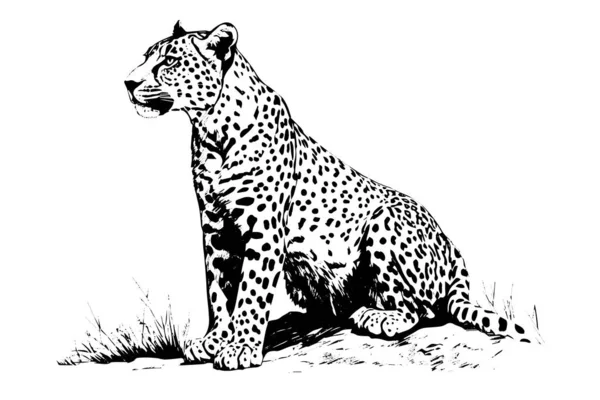 Černobílý Ručně Kreslený Inkoustový Náčrt Sedícího Leoparda Vektorová Ilustrace — Stockový vektor