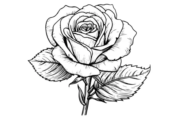 Vintage Rose Fleur Gravure Calligraphique Victorian Style Tatouage Vecteur Illustration — Image vectorielle