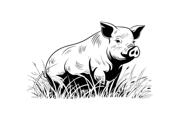 Handgezeichnetes Vektorbild Der Dorflandschaft Mit Schweinen Die Gras Auf Der — Stockvektor
