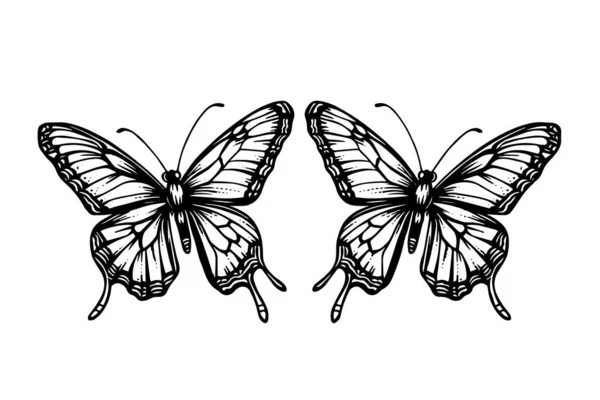 Σκετς Πεταλούδας Χειροποίητη Απεικόνιση Διανύσματος Στυλ Χάραξης — Διανυσματικό Αρχείο