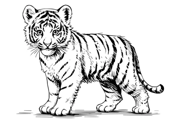 Ručně Kreslený Rytý Náčrt Tygřího Mláděte Vektorová Kresba Inkoustem — Stockový vektor