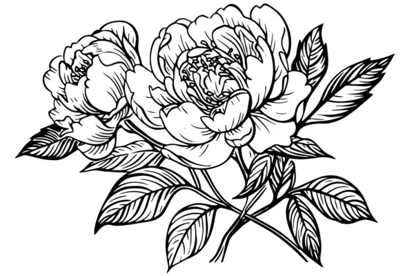 花が咲き 絵を描いていく ベクター手描きインクイラスト — ストックベクタ