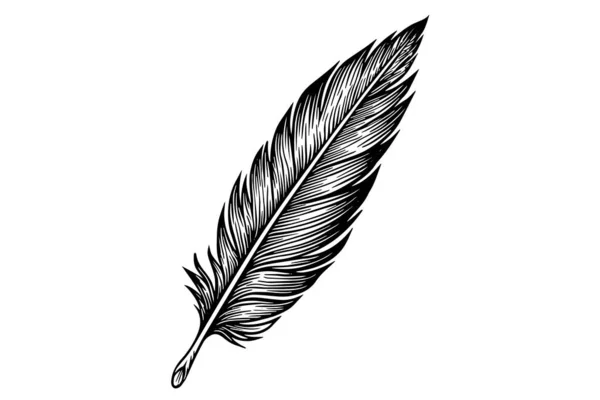Vintage Feather Quill Etching Style Sketch Vector Engraving Style Illustration — Stock Vector