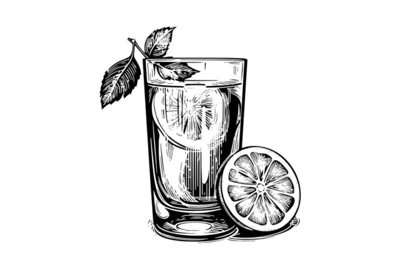 Beber Limonada Con Limón Menta Dibujado Mano Grabado Estilo Vector — Vector de stock