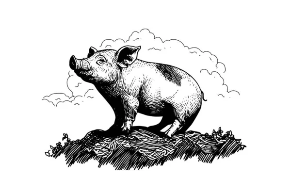 Imagen Vectorial Dibujada Mano Del Paisaje Del Pueblo Con Cerdos — Archivo Imágenes Vectoriales