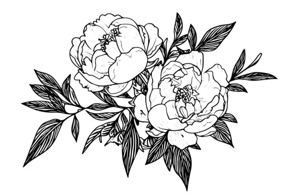 Пион Цветок Рисунок Листьев Векторная Ручная Гравировка — стоковый вектор