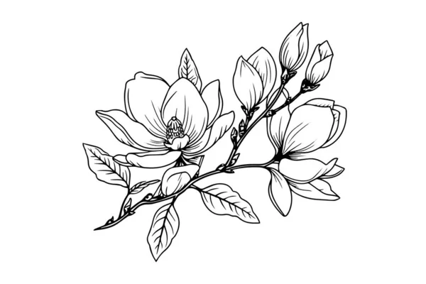 Hand Drawn Magnolia Flower Ink Sketch Engraving Style Vector Illustration — Stock Vector