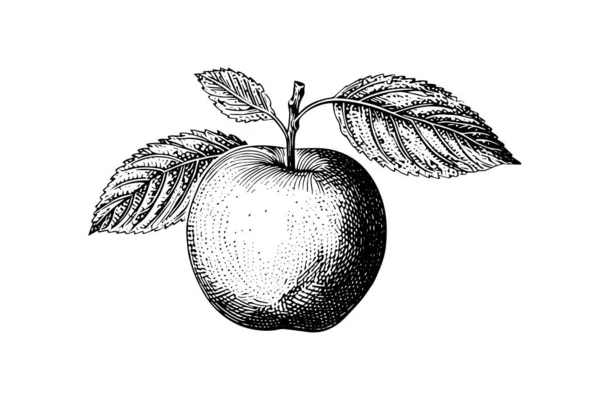 Fruit Pomme Dessiné Main Gravure Illustrations Vectorielles Style — Image vectorielle