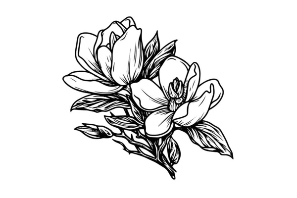 Bosquejo Tinta Flor Magnolia Dibujado Mano Grabado Estilo Vector Ilustración — Archivo Imágenes Vectoriales
