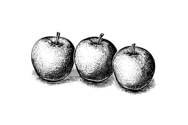 Manzana Fruta Mano Dibujado Estilo Grabado Ilustraciones Vectoriales — Vector de stock