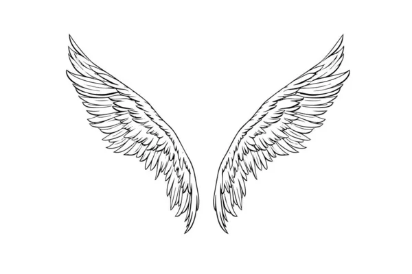 Σχέδιο Μελανιού Φτερά Αγγέλου Στυλ Χαρακτικής Χειροκίνητη Απεικόνιση Διανύσματος Παραθύρων — Διανυσματικό Αρχείο
