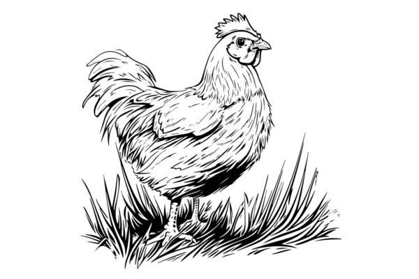 ヴィンテージ彫刻スタイルのベクターイラストで描かれた草の上の鶏や鶏 — ストックベクタ