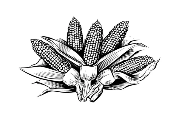 Куча Кукурузных Ручных Рисунков Векторной Иллюстрации — стоковый вектор