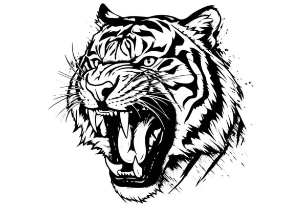 Tiger Huvud Hand Dras Gravyr Stil Vektor Illustration — Stock vektor