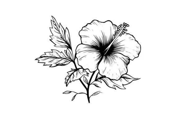 Hibiscus Fleurit Dans Style Vintage Gravé Gravé Sur Bois Illustration — Image vectorielle
