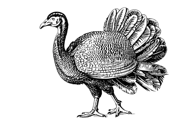 Turkey Hand Drawn Ink Sketch Engraving Vintage Style Vector Illustration — Stock Vector