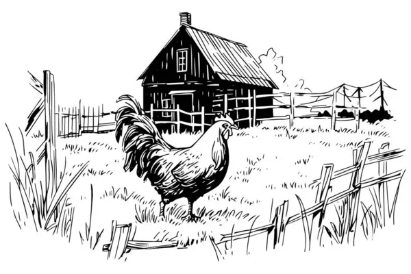 Kurczaki Szkicu Farmy Krajobraz Wiejski Stylu Vintage Grawerowanie Wektor Ilustracja — Wektor stockowy