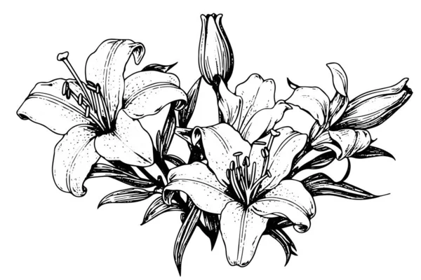 Černobílý Kytice Lilie Izolované Bílém Pozadí Ručně Kreslené Vektorové Ilsutrace — Stockový vektor