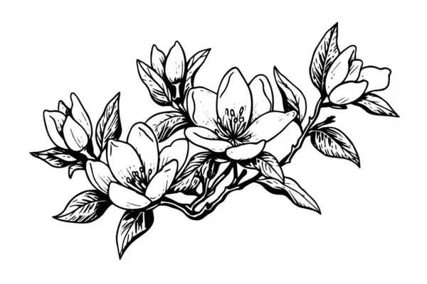 Handritad Magnolia Blomma Bläck Skiss Gravyr Stil Vektor Illustration — Stock vektor