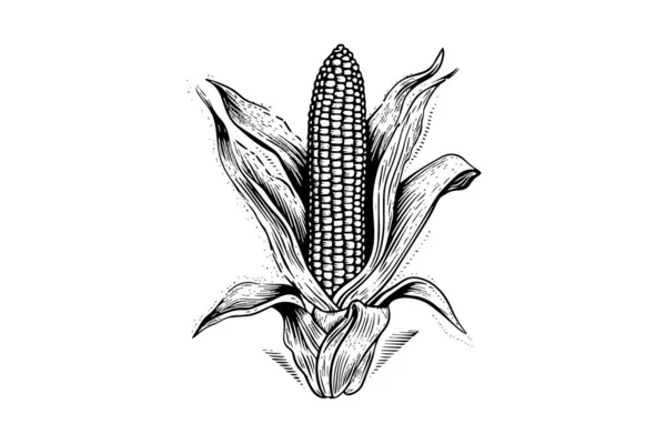 Corn Hand Drawing Sketch Vintage Engraving Vector Illustration — Stock Vector