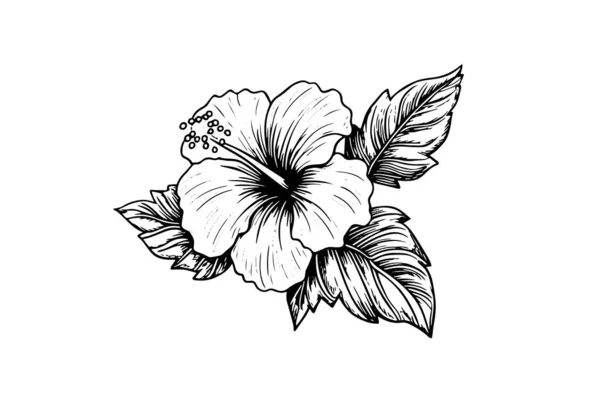 Hibiscus Flowers Drawing Tutorial-saigonsouth.com.vn