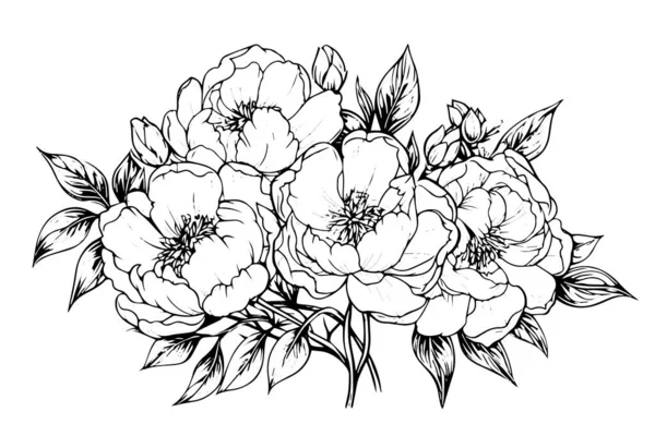 Kwiat Piwonii Rysunek Liści Wektor Ręcznie Rysowane Grawerowane Atrament Ilustracja — Wektor stockowy