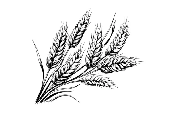 Weizenbrot Ähren Getreideernte Skizze Gravur Stil Vektor Illustration — Stockvektor