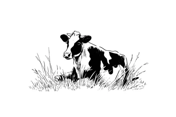 牛は畑でぶら下がっている ベクター手描きの彫刻スタイルイラスト — ストックベクタ