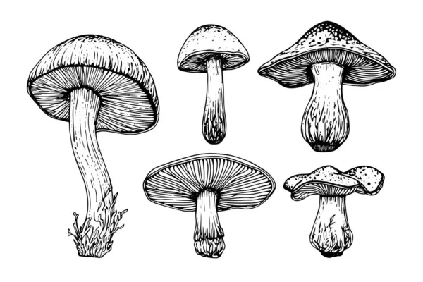 Schizzo Inchiostro Disegnato Mano Serie Funghi Incisione Stile Vintage Vettoriale — Vettoriale Stock