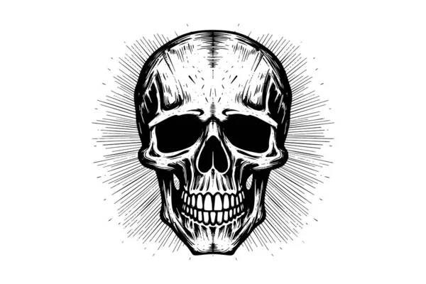 Lidská Lebka Ručně Kreslené Náčrtky Dřevořezu Stylu Vektorový Rytinový Náčrt — Stockový vektor