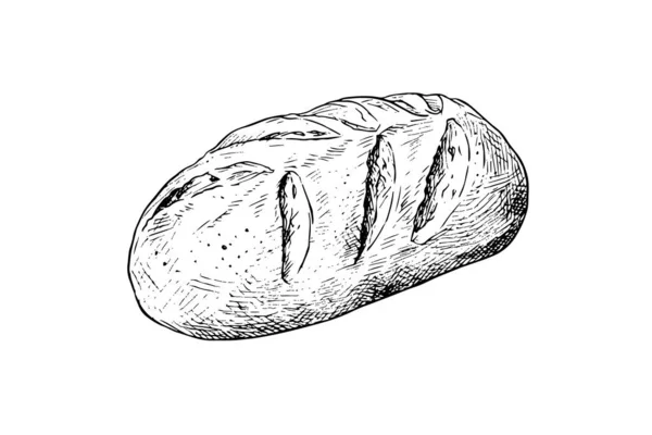 Bir Somun Ekmek Vektör Eli Çizilmiş Vintage Oyma Biçimi Çizimi — Stok Vektör