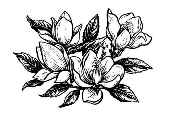 Met Hand Getekend Magnolia Bloem Inkt Schets Graveren Stijl Vector — Stockvector