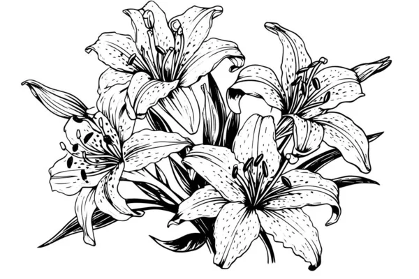 Černobílý Kytice Lilie Izolované Bílém Pozadí Ručně Kreslené Vektorové Ilsutrace — Stockový vektor